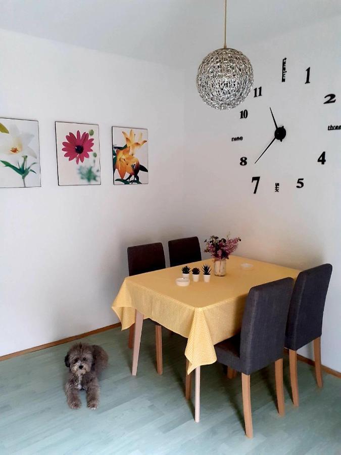 Apartman Danube Novi Sad Exterior photo